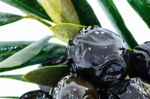 Yağlı Sele Siyah Zeytin MGA MGA 2,85 KG e