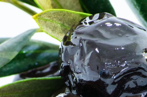 Yağlı Sele Siyah Zeytin MGA MGA 2,85 KG e